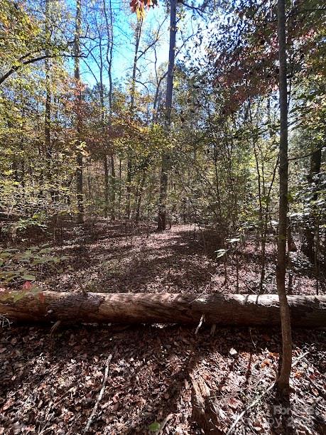 Land in Rutherfordton 4