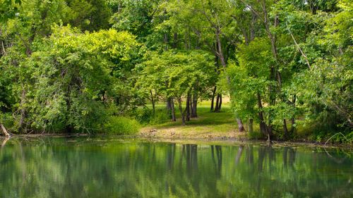 0 Collier Ln, GALLATIN, TN, 37066 | Card Image