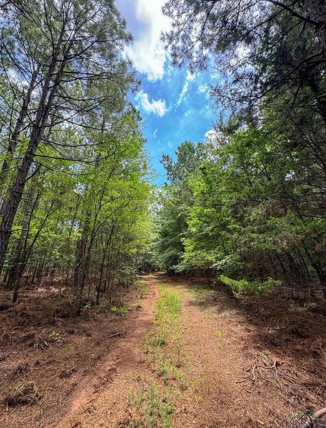 0000 Fm 3421, Home with 0 bedrooms, 0 bathrooms and null parking in Lone Star TX | Image 21