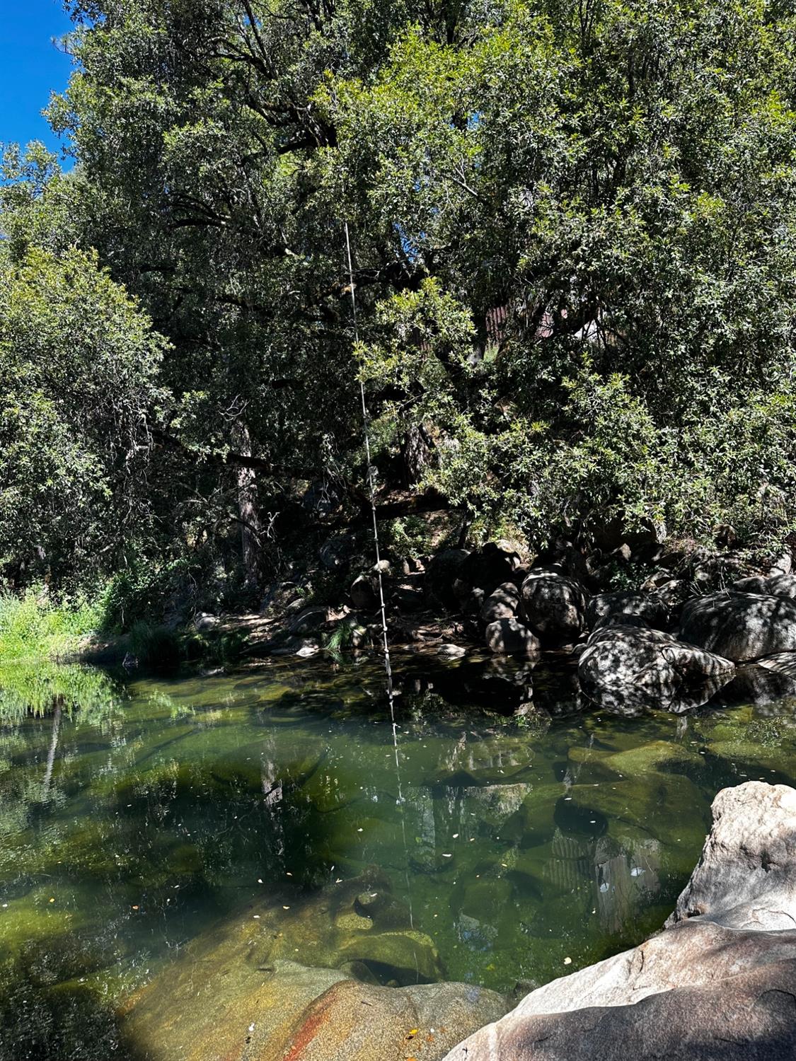 Land in River Pines 2