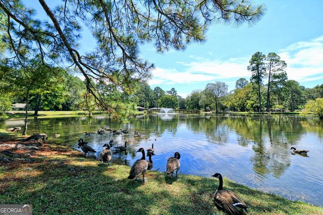 202 S Edgewood Dr, House other with 4 bedrooms, 2 bathrooms and null parking in Statesboro GA | Image 25