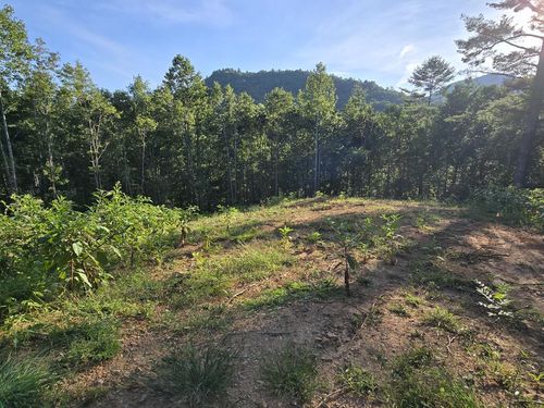 Lot 67 Hi River Rd, Hiawassee, GA, 30546 | Card Image