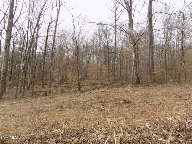 185 Lovin Rd, House other with 4 bedrooms, 2 bathrooms and null parking in Mooresburg TN | Image 52