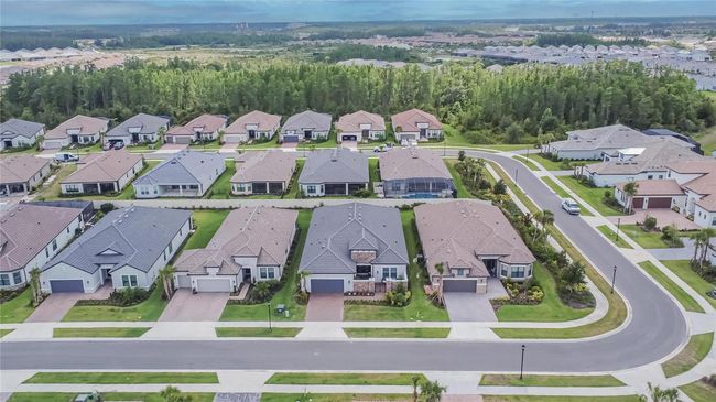4795 Freccia Loop, House other with 3 bedrooms, 3 bathrooms and null parking in WESLEY CHAPEL FL | Image 62