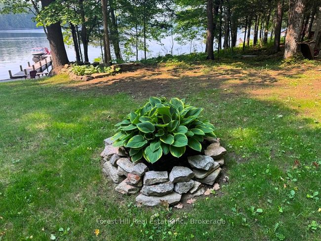 1131 Buckslide Rd, House other with 3 bedrooms, 1 bathrooms and 6 parking in Algonquin Highlands ON | Image 41