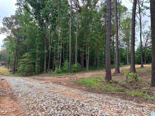 tract-1-Tract 1 343 County Road 892, Wedowee, AL, 36278 | Card Image