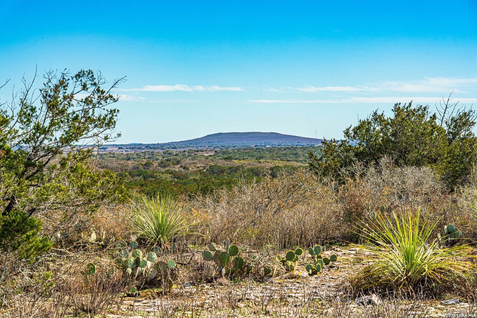 Land in Uvalde 2