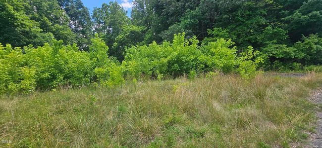 20240613_150813 | Image 11