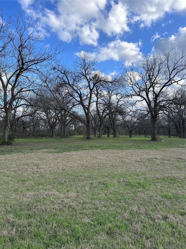 View of yard | Image 8