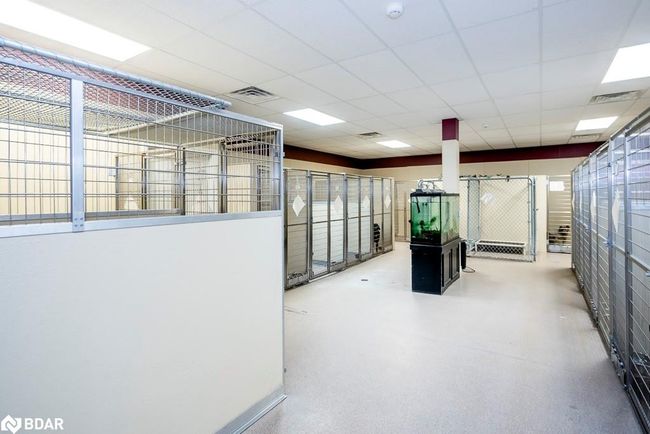301 Concession 4 E, House other with 4 bedrooms, 3 bathrooms and 12 parking in Wyevale ON | Image 41