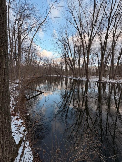 1030 E Berry Rd, Rives Junction, MI, 49277-9751 | Card Image