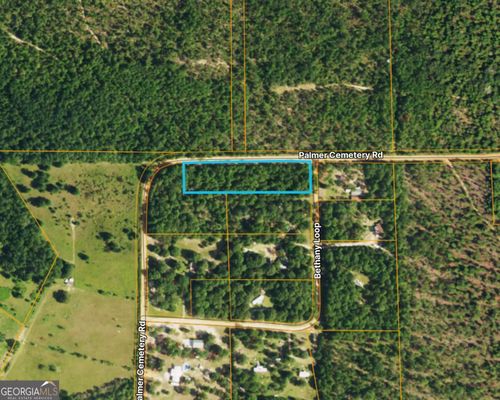 0 Palmer Cemetery Rd, Box Springs, GA, 31801 | Card Image