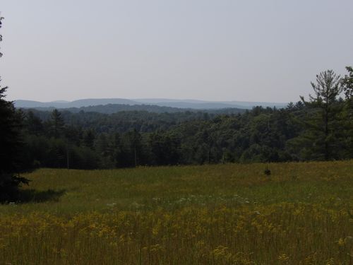 000 Mountain View Dr, Deer Lodge, TN, 37726 | Card Image