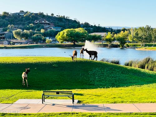 955 W Ensenada Ln, Payson, AZ, 85541-5248 | Card Image