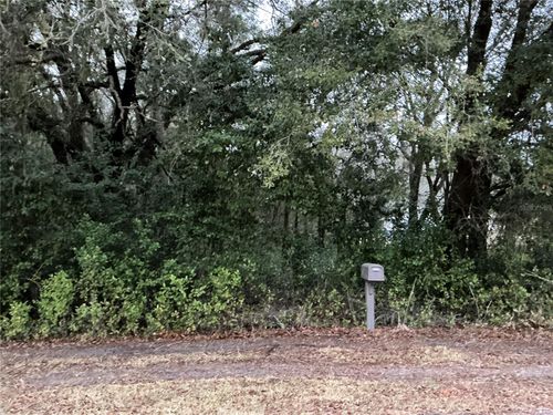 0 Se 143rd Pl, SUMMERFIELD, FL, 34491 | Card Image
