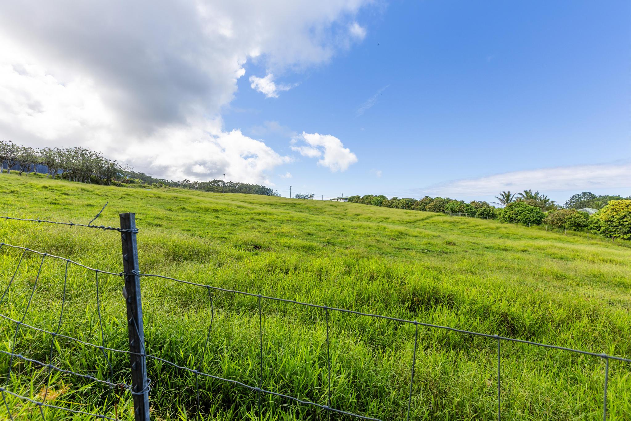 Land in Hakalau 3