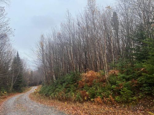 - Hudson Rd, Canaan, VT, 05903 | Card Image