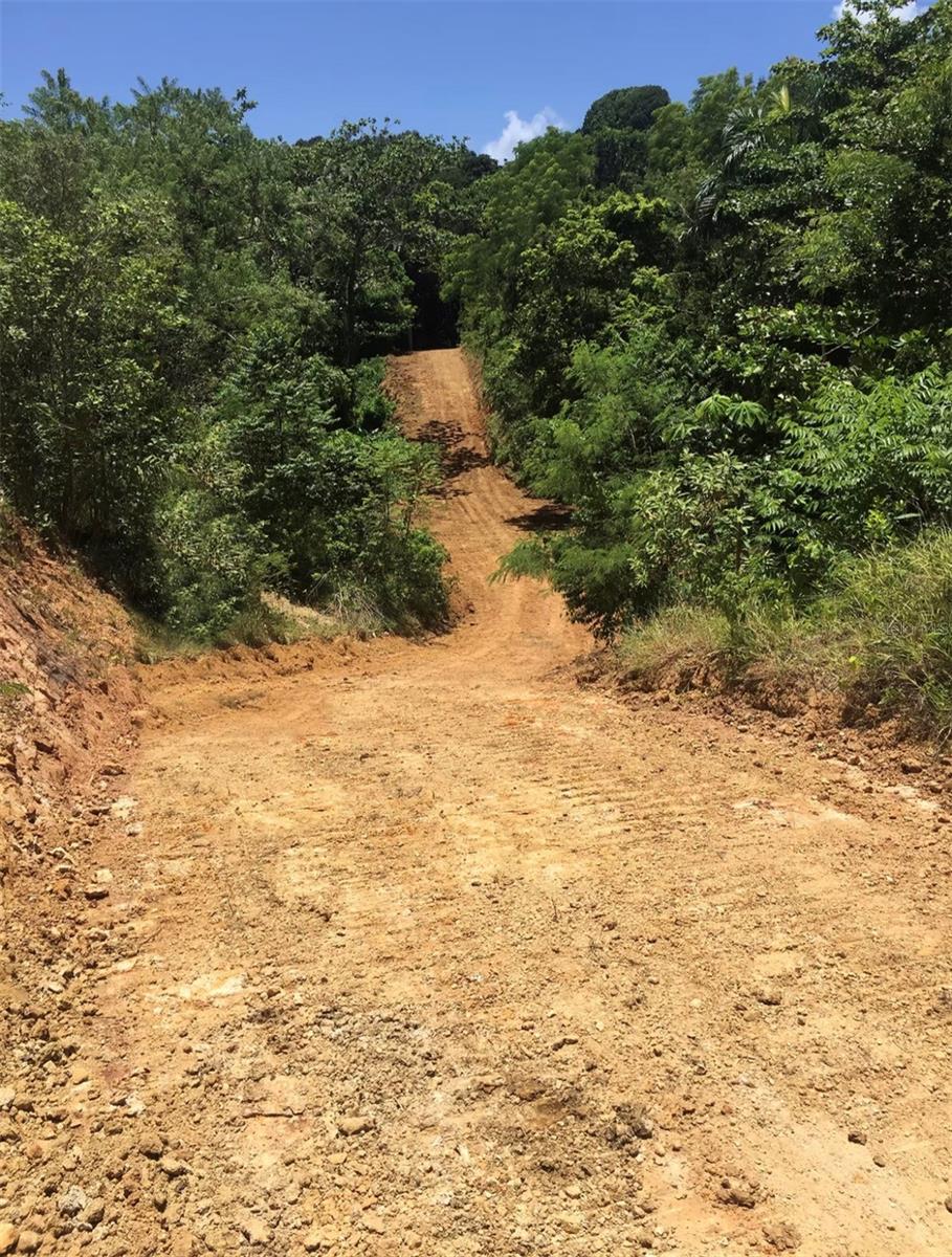Land en venta en RINCON, 413 CUCHILLO BARRIO PUNTAS