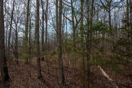 0 Paint Rock Valley Rd, Philadelphia, TN, 37846 | Card Image