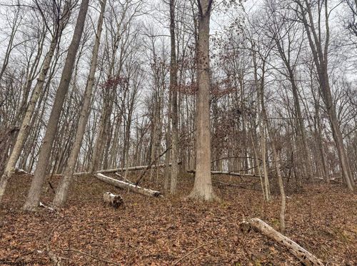 Lot 1 States Fork Rd, Metz, WV, 26585-8524 | Card Image