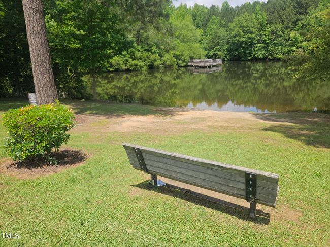 Pond | Image 70