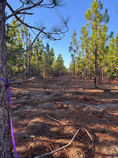 ppf-14-Ppf 14 Payne Pond Rd, Westville, SC, 29175-9511 | Card Image