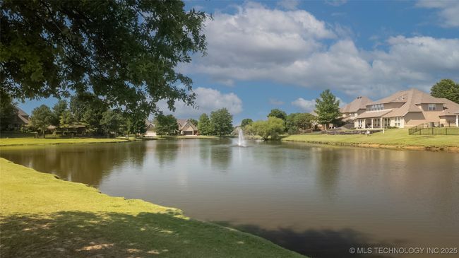 Neighborhood pond | Image 18