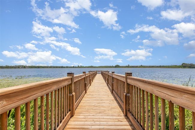 14215 Lakeview Park Rd, House other with 4 bedrooms, 3 bathrooms and null parking in WINTER GARDEN FL | Image 33