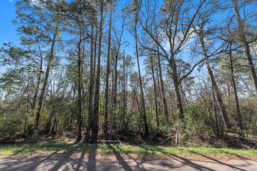 0 Hunters Trl, New Caney, TX, 77357 | Card Image