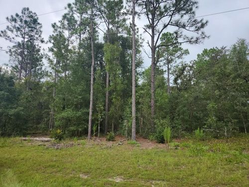 lot 24 Sw 89th Circle, OCALA, FL, 34473 | Card Image