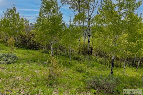 000 Grouse Creek Loop, Freedom, WY, 83120 | Card Image