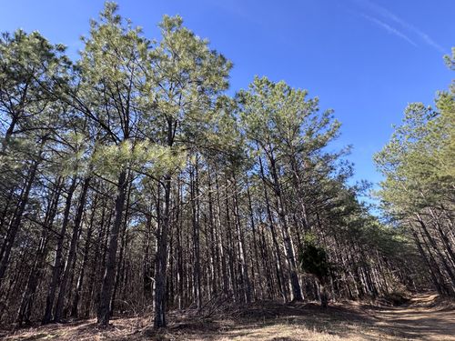 432 Liberty Ridge Rd, Hohenwald, TN, 38462 | Card Image