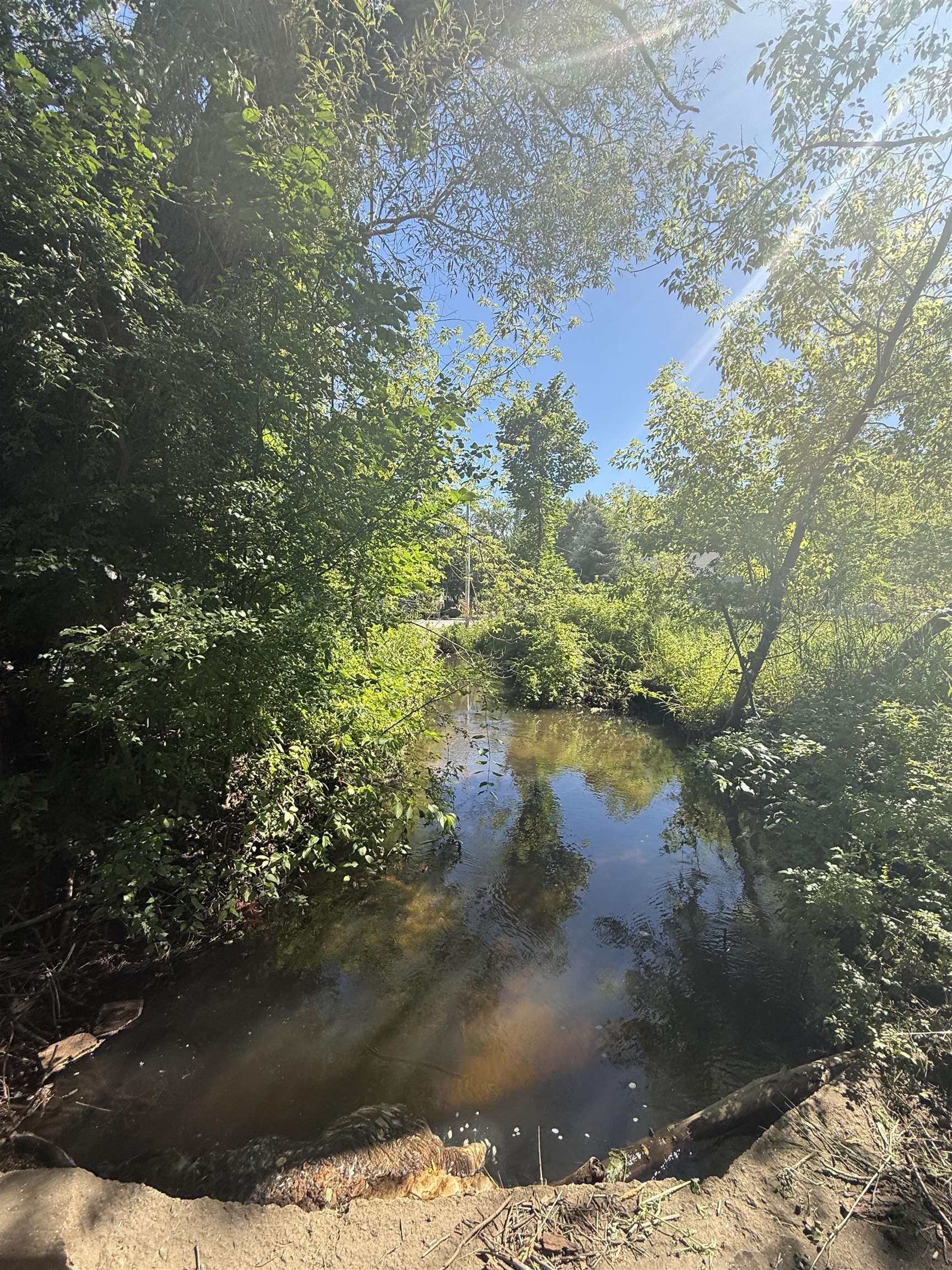 Land in Traverse City 4