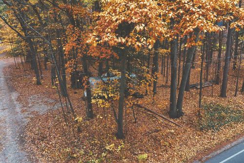 7967 Elm Ave, Honor, MI, 49640-9493 | Card Image