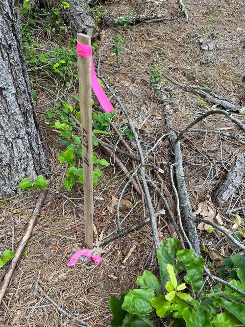 Tract #11 Castle, Glenwood, AR, 71943 | Card Image