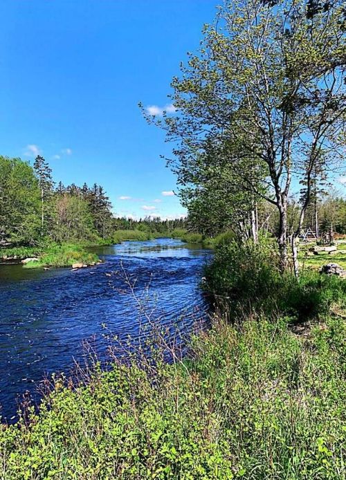 15 Nauglers Settlement Rd, Moser River, NS, B0J2K0 | Card Image
