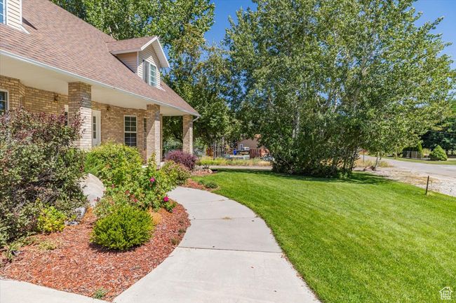 View of front yard | Image 47