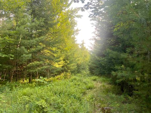 4-Lot 4 Aldrich Mountain Lane, Waterford, VT, 05819 | Card Image