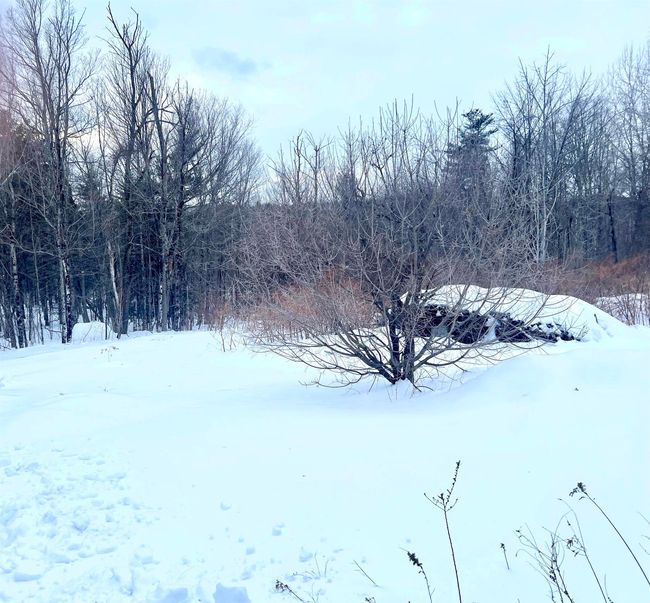 76 Edgerly School Rd, House other with 3 bedrooms, 1 bathrooms and null parking in Meredith NH | Image 21
