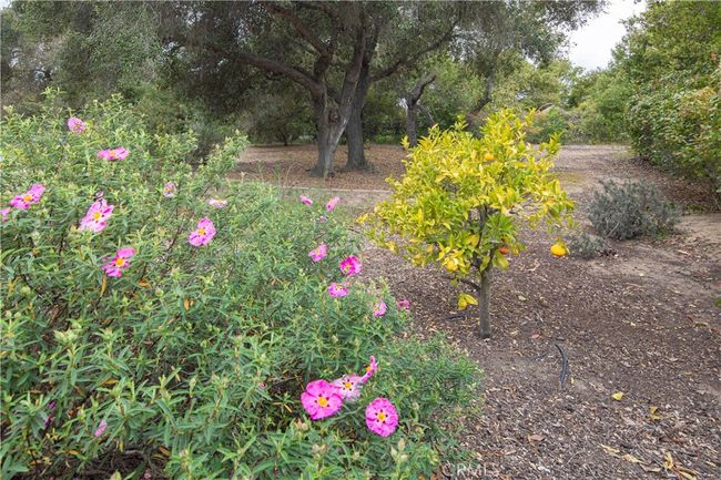 Lush landscaping throughout | Image 61