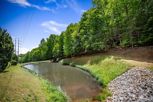 143 Kaely Dr, Home with 3 bedrooms, 3 bathrooms and null parking in Mineral Bluff GA | Image 98