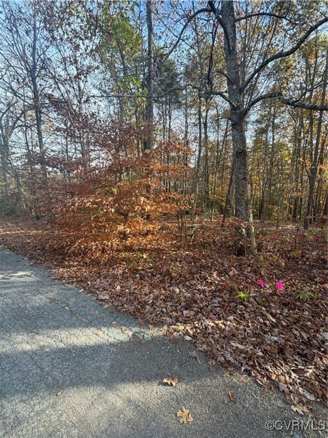 0 Broad Street Rd, Home with 0 bedrooms, 0 bathrooms and null parking in Gum Spring VA | Image 9