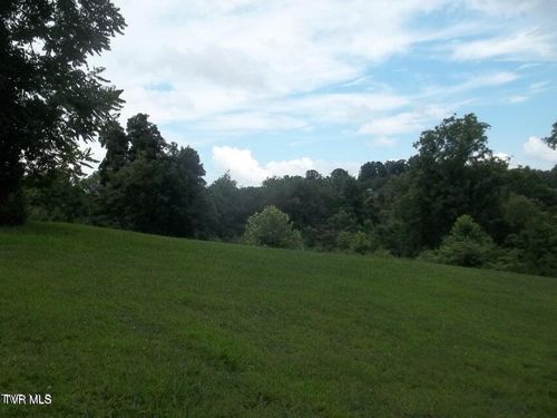 1167 Cherry Blossom Ln, Talbott, TN, 37877-9077 | Card Image