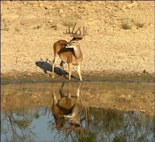 2367 County Road 311, Gouldbusk, TX, 76845-3412 | Card Image