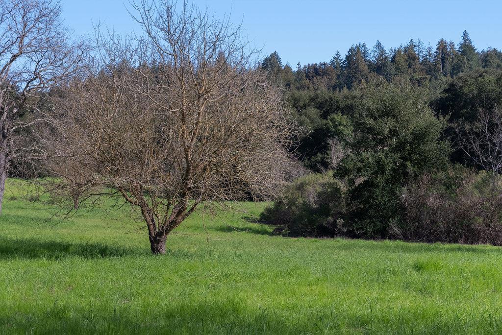 Commercial Sale in Felton