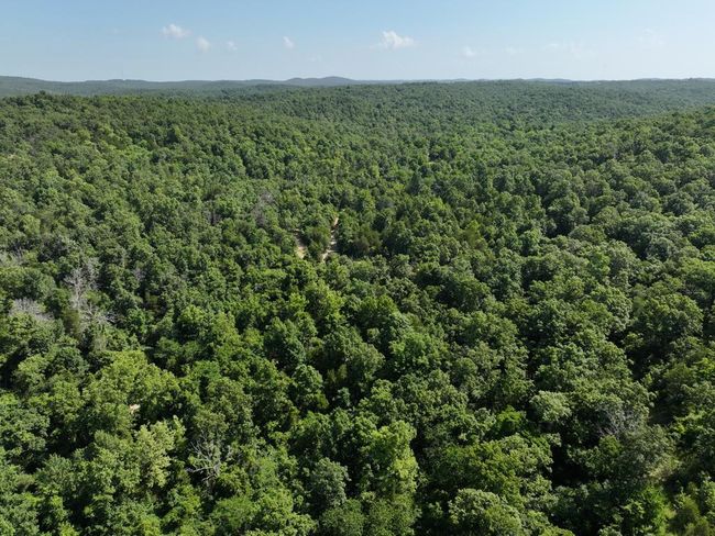 dji_fly_20250620_103234_0028_17504331094 | Image 18