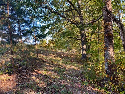 lot #19 Sky Ridge Retreats, Denniston, KY, 40316 | Card Image