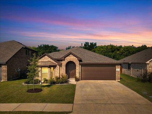 317 Rock Sparrow Ln, Alvarado, TX, 76009-3247 | Card Image