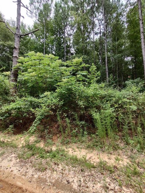 NHN Lakeshore Dr, Lumberton, MS, 39455 | Card Image