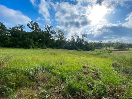 Tract 7 & 8 County Road 426, Marquez, TX, 77865 | Card Image